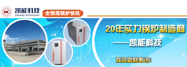 全預混燃氣冷凝爐制造商咨詢凱能科技